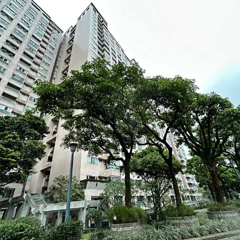 水蓮山莊面湖美景絕版挑高5.98米漂亮美妝